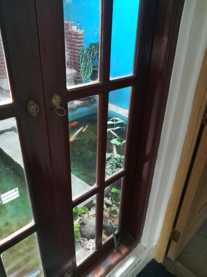 Aurora Echo Villa 马特勒 外观 照片